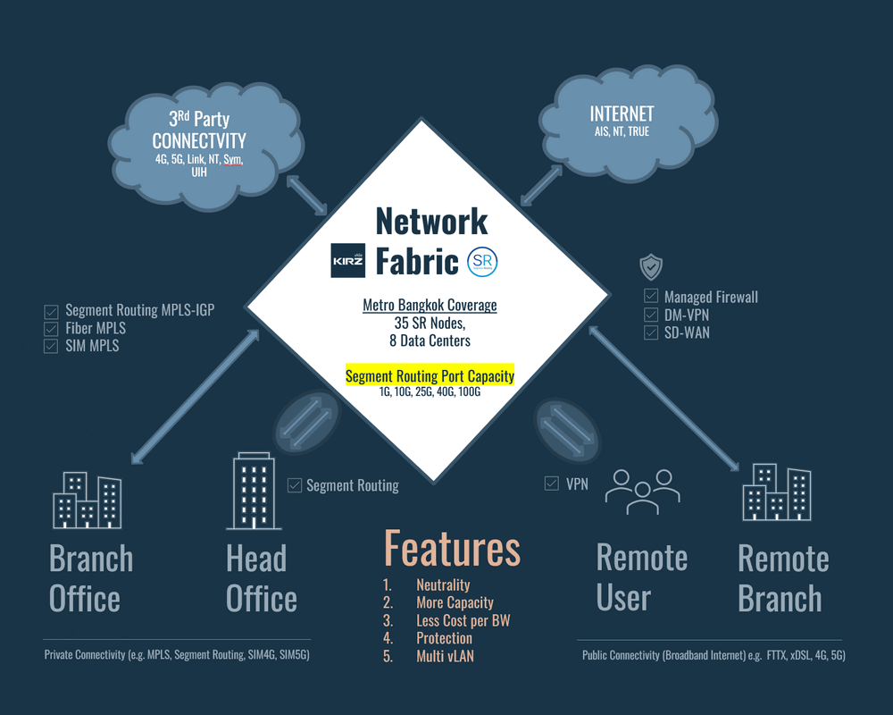 Network Fabric Infographic